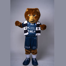 Lade das Bild in den Galerie-Viewer, BALKENSCHAL